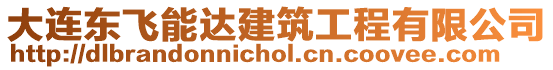 大連東飛能達建筑工程有限公司