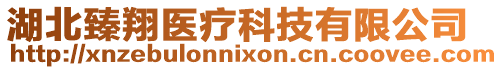 湖北臻翔醫(yī)療科技有限公司