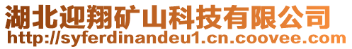 湖北迎翔礦山科技有限公司