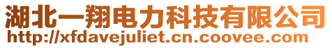 湖北一翔電力科技有限公司