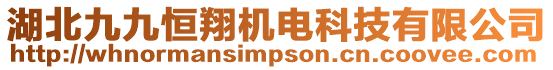 湖北九九恒翔機電科技有限公司