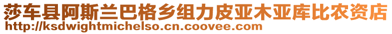 莎車縣阿斯蘭巴格鄉(xiāng)組力皮亞木亞庫比農(nóng)資店