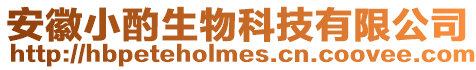 安徽小酌生物科技有限公司