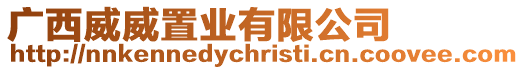 廣西威威置業(yè)有限公司
