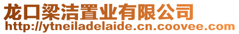龍口梁潔置業有限公司