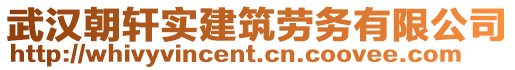 武漢朝軒實建筑勞務有限公司