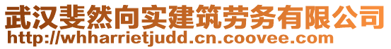 武漢斐然向實建筑勞務有限公司
