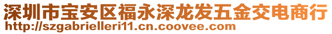 深圳市寶安區(qū)福永深龍發(fā)五金交電商行