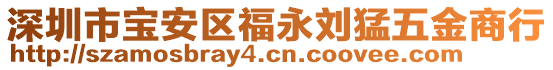 深圳市寶安區福永劉猛五金商行