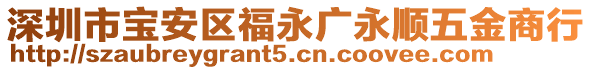 深圳市寶安區(qū)福永廣永順五金商行