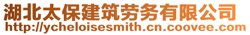 湖北太保建筑勞務有限公司