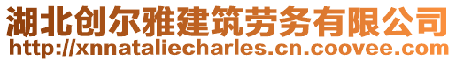 湖北創爾雅建筑勞務有限公司
