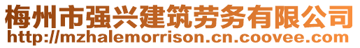 梅州市強(qiáng)興建筑勞務(wù)有限公司