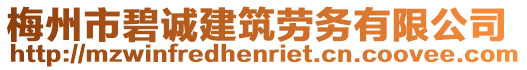 梅州市碧誠建筑勞務有限公司