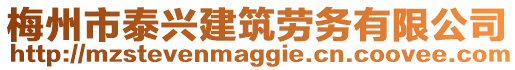 梅州市泰興建筑勞務有限公司
