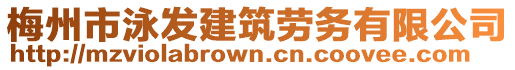梅州市泳發(fā)建筑勞務(wù)有限公司