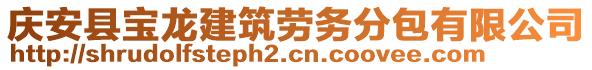 慶安縣寶龍建筑勞務(wù)分包有限公司