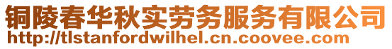 銅陵春華秋實(shí)勞務(wù)服務(wù)有限公司
