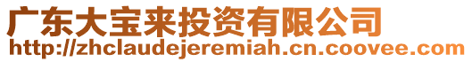 廣東大寶來投資有限公司