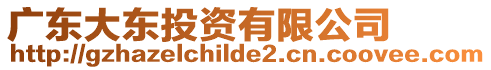 廣東大東投資有限公司