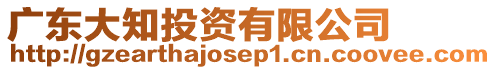 廣東大知投資有限公司