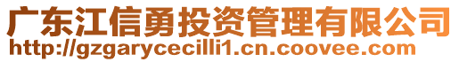 廣東江信勇投資管理有限公司