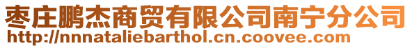 棗莊鵬杰商貿有限公司南寧分公司