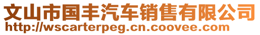 文山市國(guó)豐汽車銷售有限公司