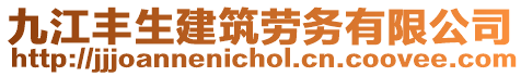 九江豐生建筑勞務(wù)有限公司