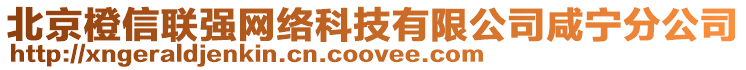 北京橙信聯(lián)強(qiáng)網(wǎng)絡(luò)科技有限公司咸寧分公司