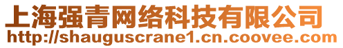 上海強(qiáng)青網(wǎng)絡(luò)科技有限公司