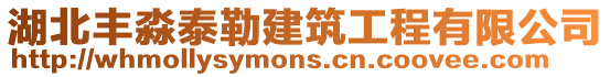 湖北豐淼泰勒建筑工程有限公司