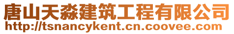 唐山天淼建筑工程有限公司