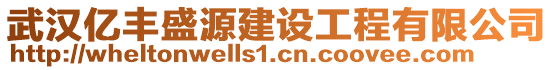 武漢億豐盛源建設(shè)工程有限公司