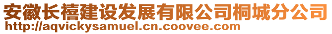 安徽長禧建設發(fā)展有限公司桐城分公司