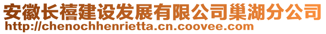 安徽長禧建設(shè)發(fā)展有限公司巢湖分公司