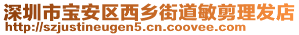 深圳市寶安區(qū)西鄉(xiāng)街道敏剪理發(fā)店