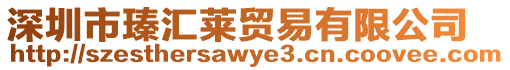 深圳市瑧匯萊貿易有限公司