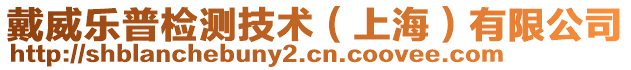 戴威樂普檢測技術(上海)有限公司