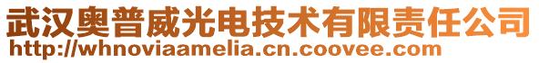 武漢奧普威光電技術有限責任公司