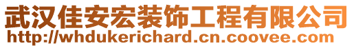 武漢佳安宏裝飾工程有限公司