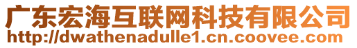 廣東宏?；ヂ?lián)網(wǎng)科技有限公司