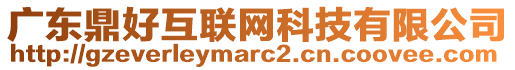 廣東鼎好互聯(lián)網(wǎng)科技有限公司