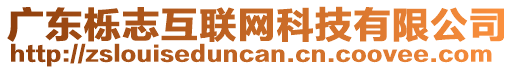 廣東櫟志互聯(lián)網(wǎng)科技有限公司