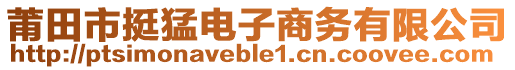 莆田市挺猛電子商務(wù)有限公司