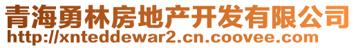 青海勇林房地產開發(fā)有限公司