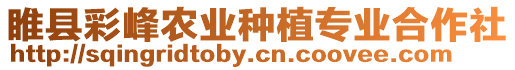 睢縣彩峰農(nóng)業(yè)種植專業(yè)合作社