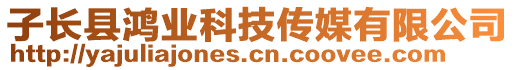 子長(zhǎng)縣鴻業(yè)科技傳媒有限公司