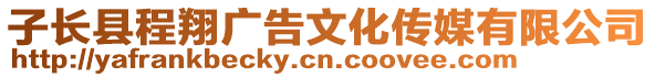 子長縣程翔廣告文化傳媒有限公司