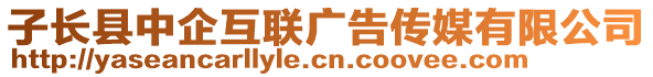 子長縣中企互聯(lián)廣告?zhèn)髅接邢薰? style=